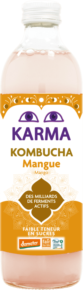 Kombucha Mango