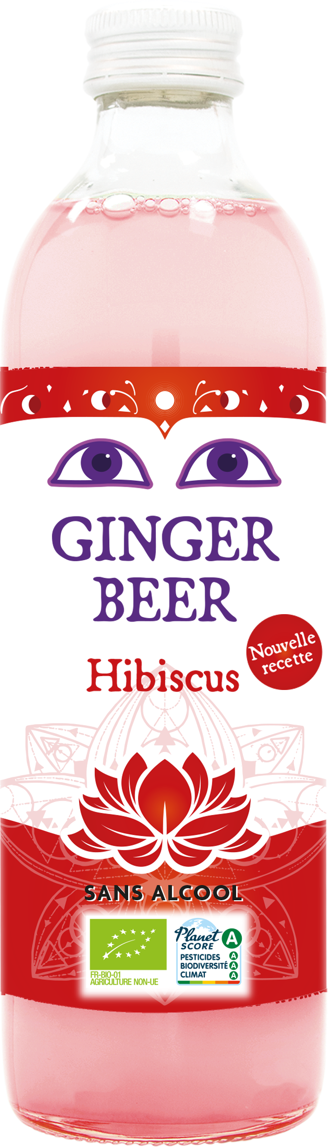 Ginger Beer Bissap