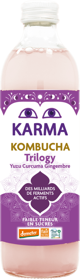 Kombucha Ginger trilogy