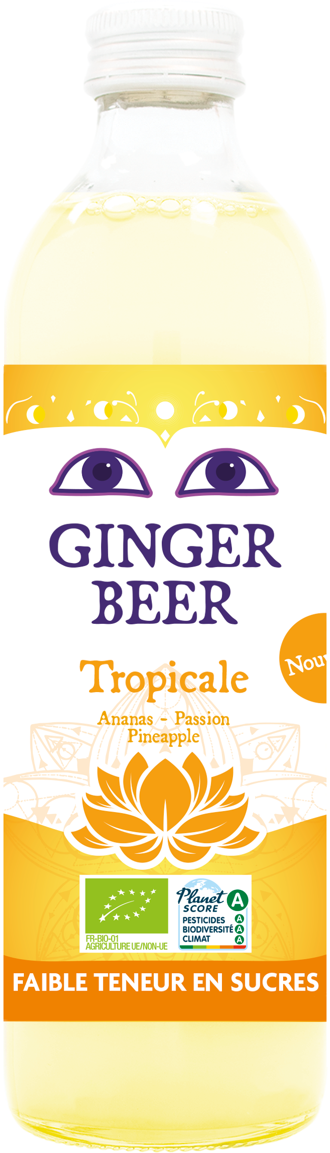 Ginger Beer Ginger beer tropical