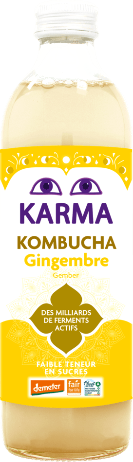 Kombucha Gingembre