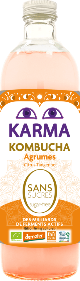 Sugar-free Kombucha Sugar-free Citrus Kombucha